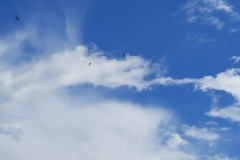 20230605_160937