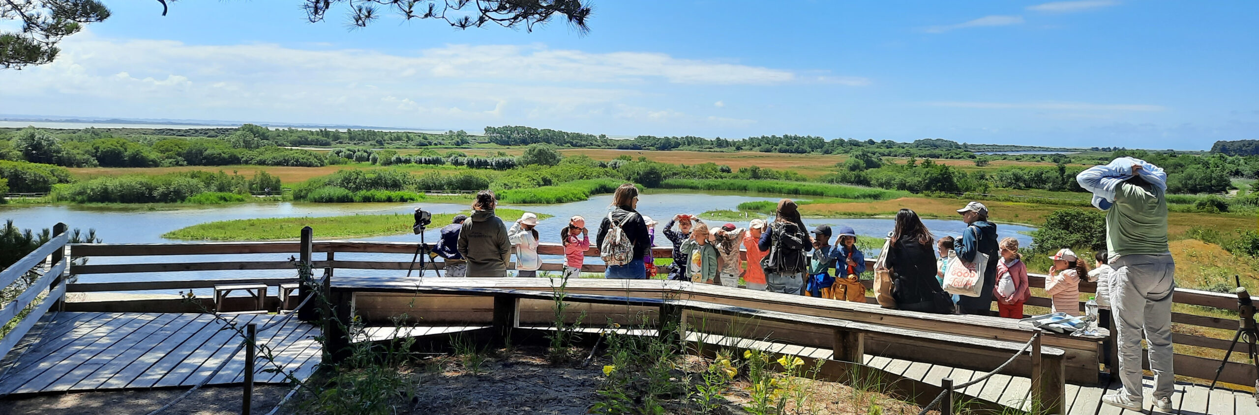 Eerste Point du Vue Le Parc Marquenterre